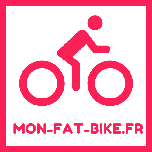 Mon fat bike